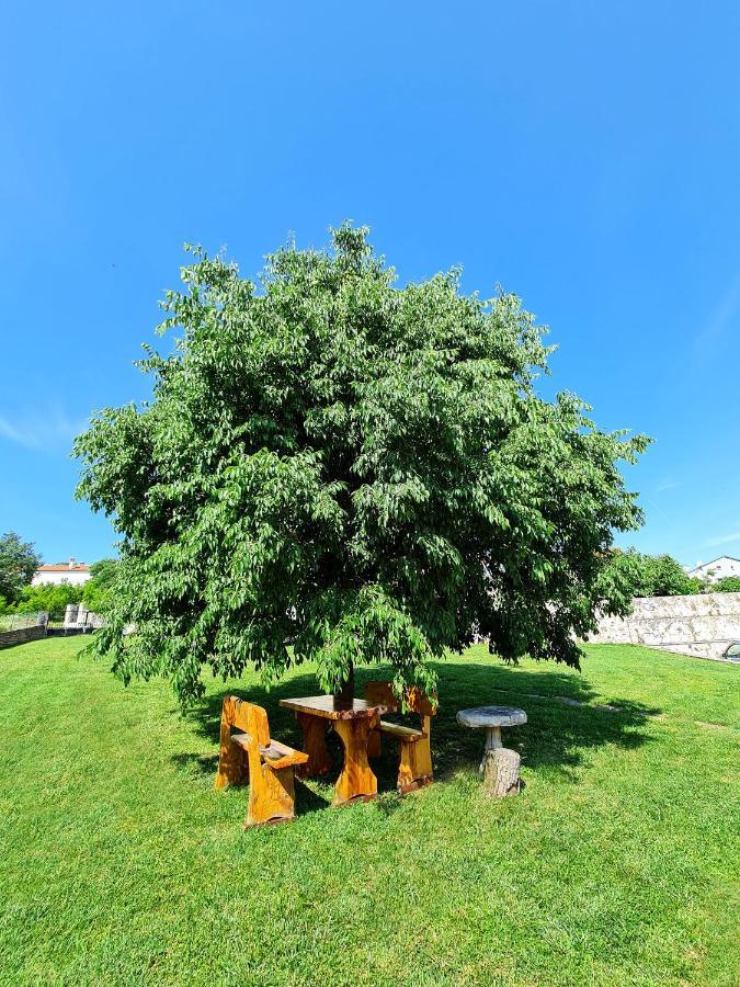 Guesthouse Casa Barbaro Rovinjsko Selo Εξωτερικό φωτογραφία